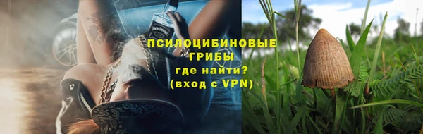амф Зеленодольск