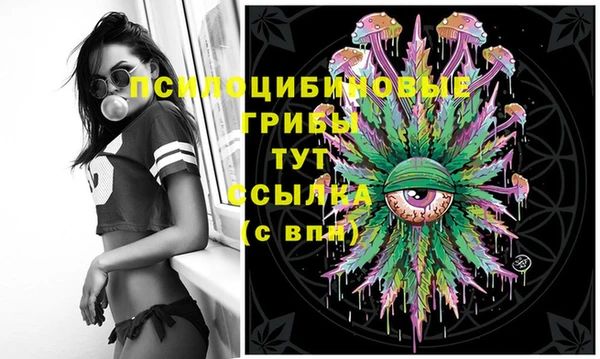 2c-b Зеленокумск