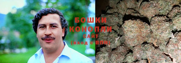 амф Зеленодольск
