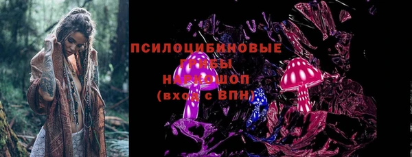 амф Зеленодольск